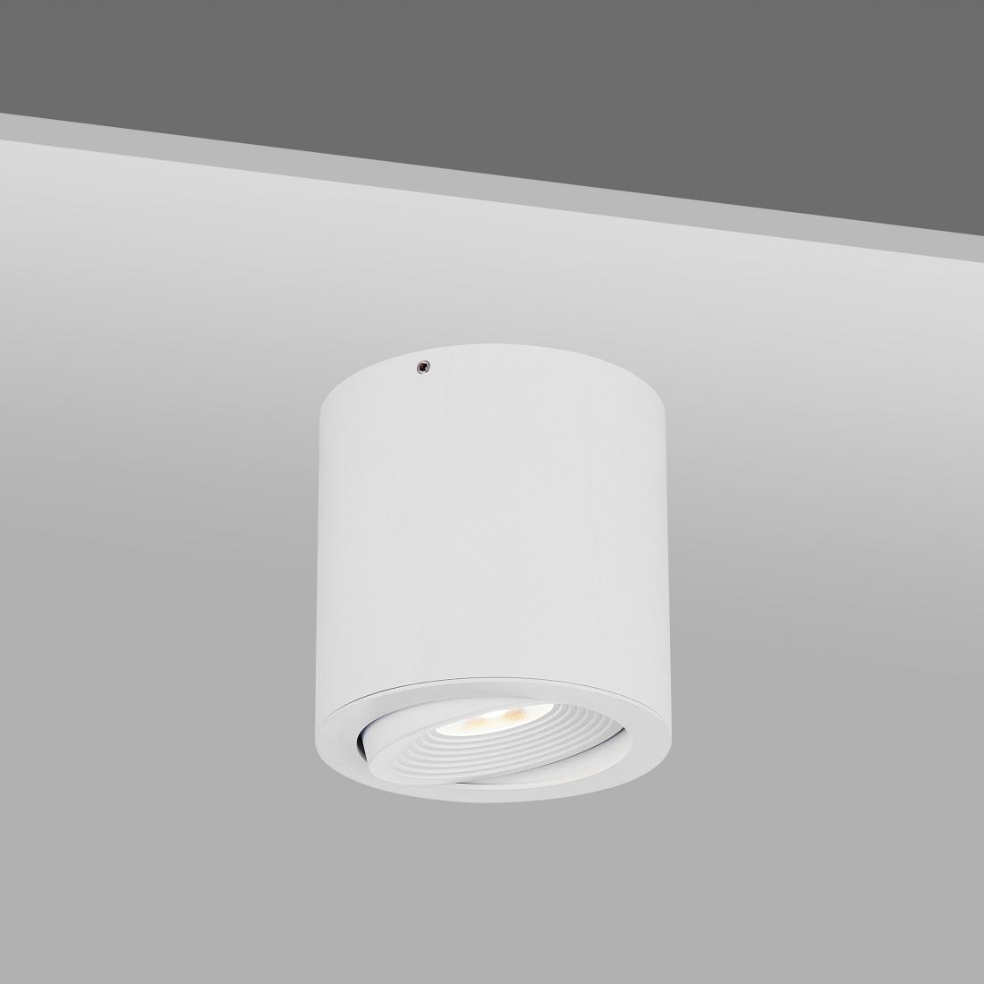 COB LED Ceiling light