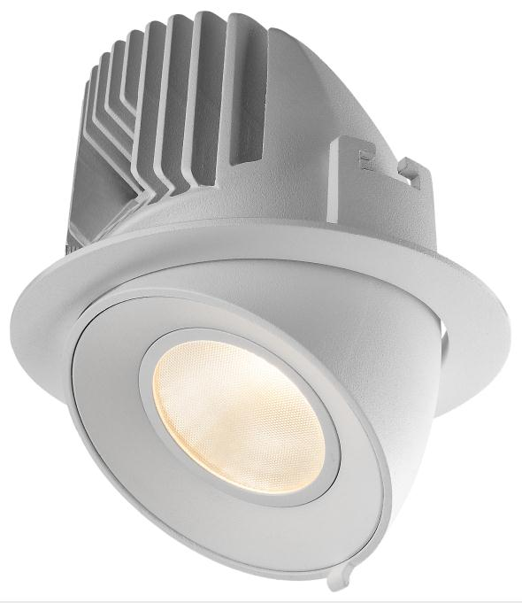15W adjustable trunk LED recessed spot down light
