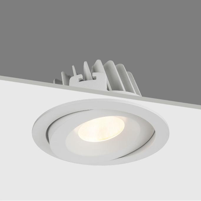 Commercial 30W COB LED IP54 waterproof adjust recessed downlightsable