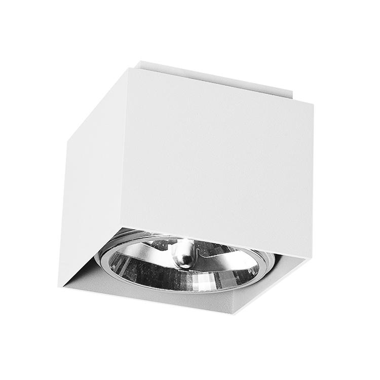 Modern Indoor IP20 Surface Mounted G53 Ceiling Lights
