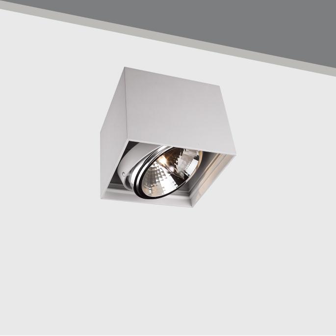 AR111 Indoor halogen ceiling light