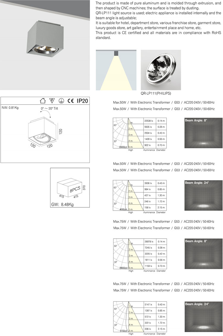 Modern IP20 Indoor GU53 Downlight