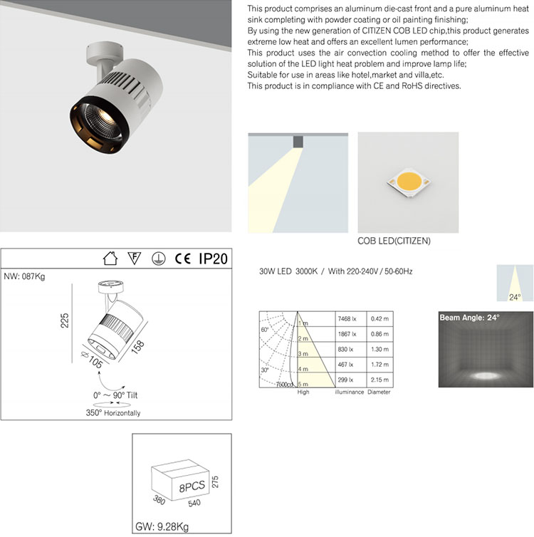 Modern Indoor LED Ceiling Light