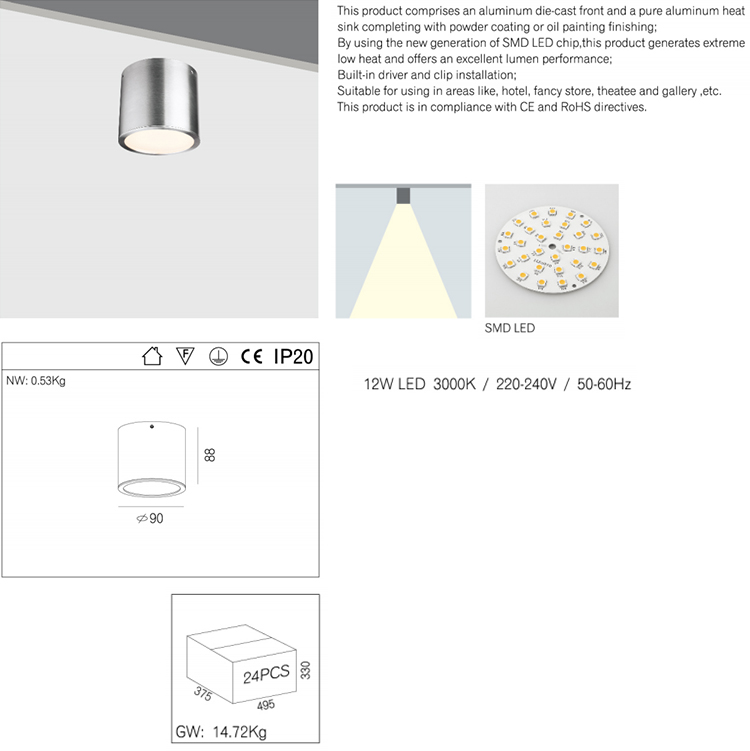 Modern Indoor LED Ceiling Light