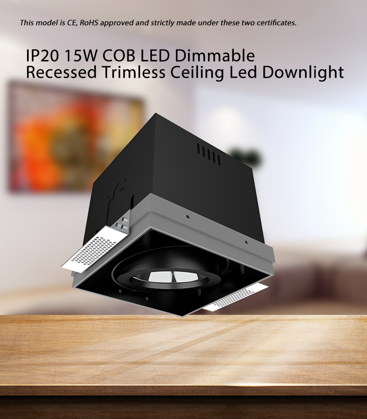 Recessed Trimless downlight