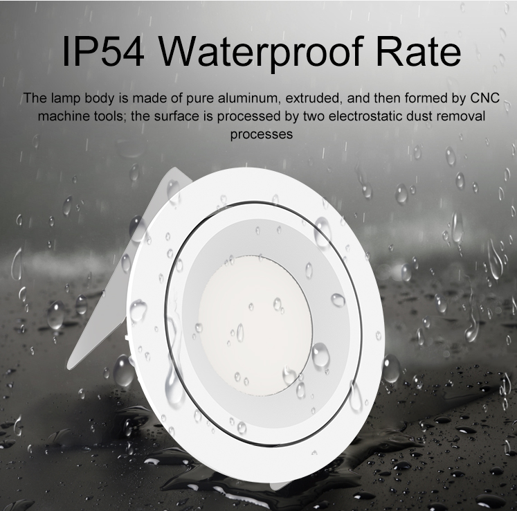 Waterproof down light