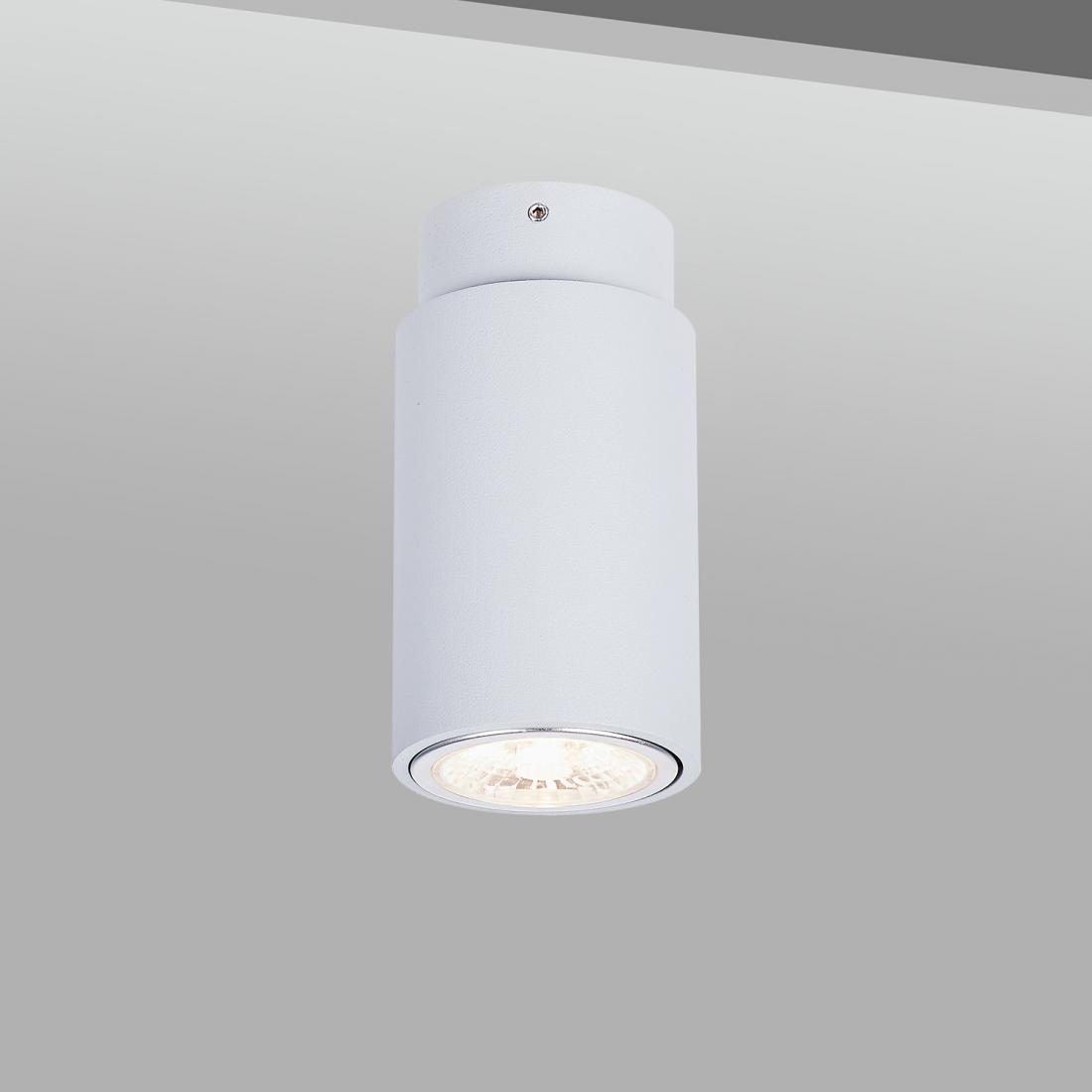 Architectural GU10 Halogen Ceiling Light