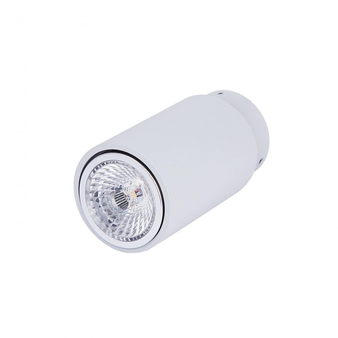 Architectural IP20 50W GU10 Halogen Ceiling Mount Llight