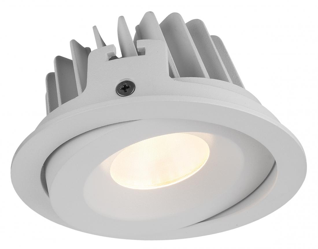Commercial 30W COB LED IP54 waterproof adjust recessed downlightsable 