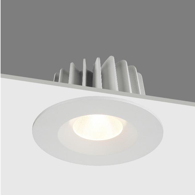 Classical 30W LED COB Spot downlight IP54