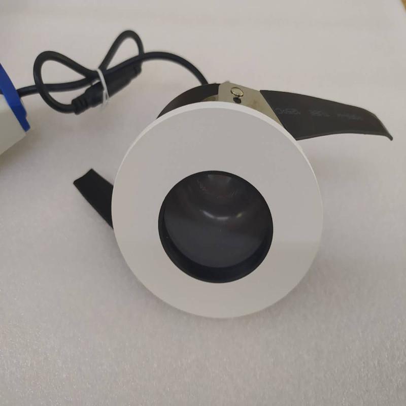 IP65 10W Waterproof Pure Aluminum Tiltable Downlight