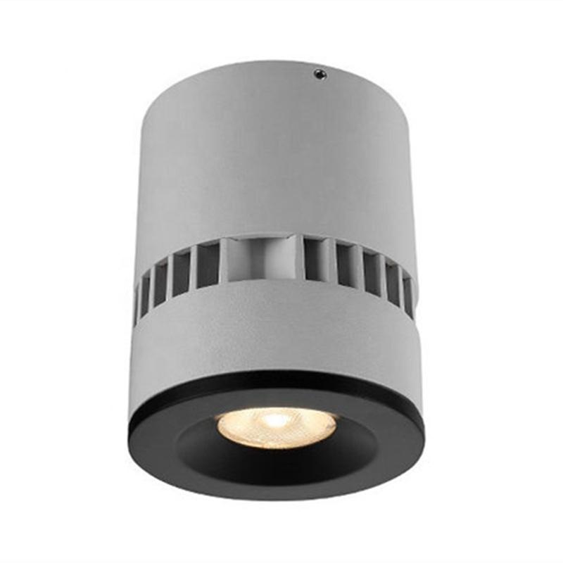 Round 7W IP20 ceiling light