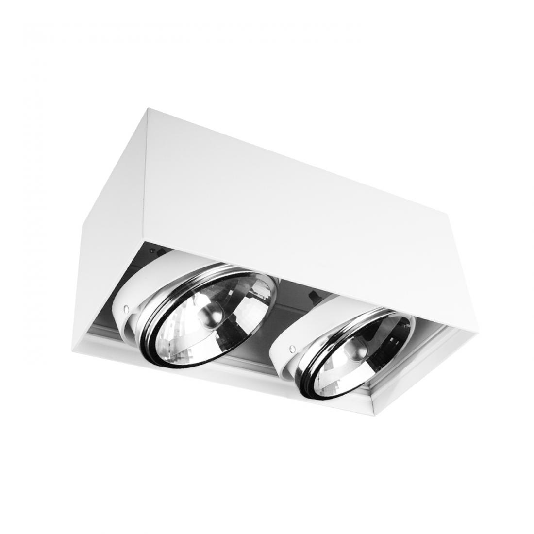 IP20 230V 2*100W AR111 Surface Mounted Ceiling Light