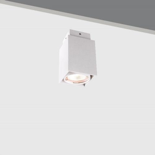 Modern Indoor IP20 Surface Mounted GU10 Ceiling Lights