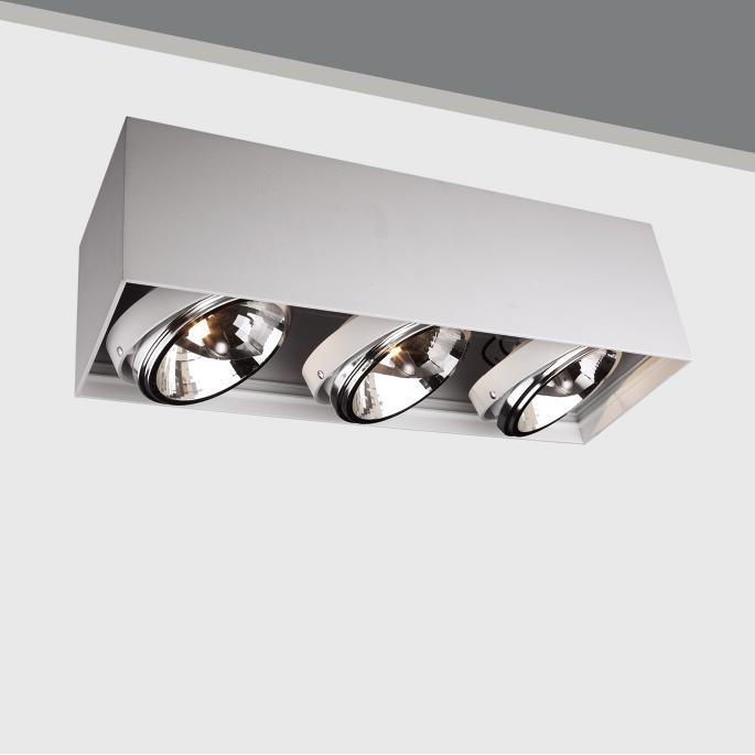 AR111 Indoor halogen ceiling light