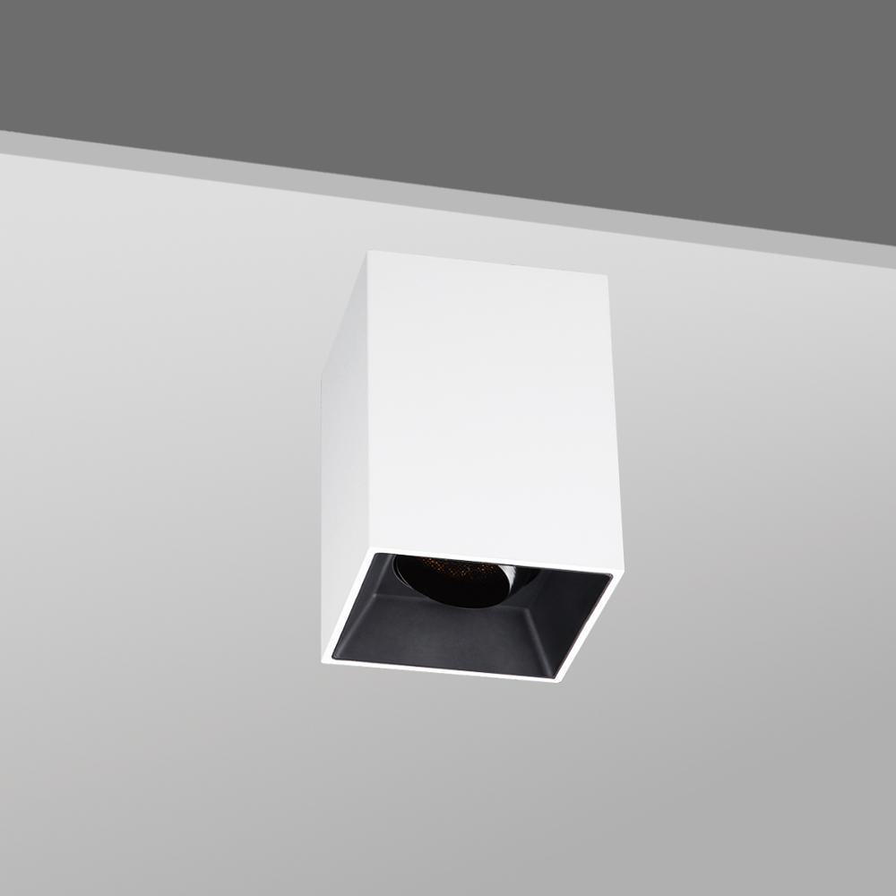 Surface mounted downlight